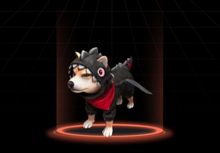 Shiba