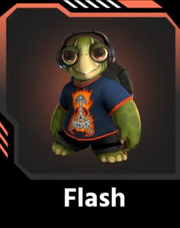 Flash